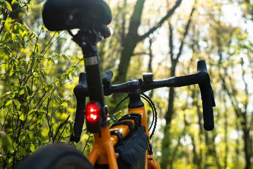 Gravel bike against forest background